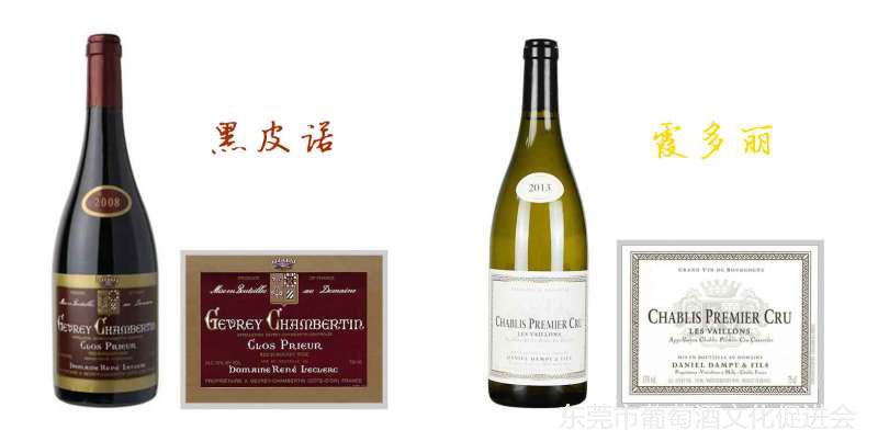 01-Burgundy-Wines-160215.jpg