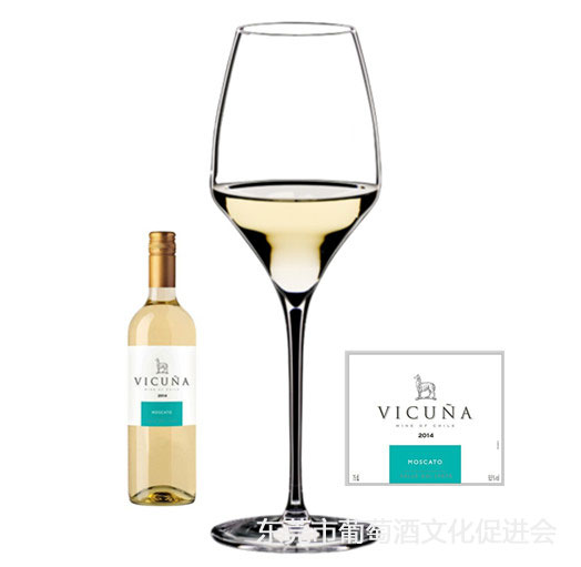 02-White-Wine-Glass-160214.jpg